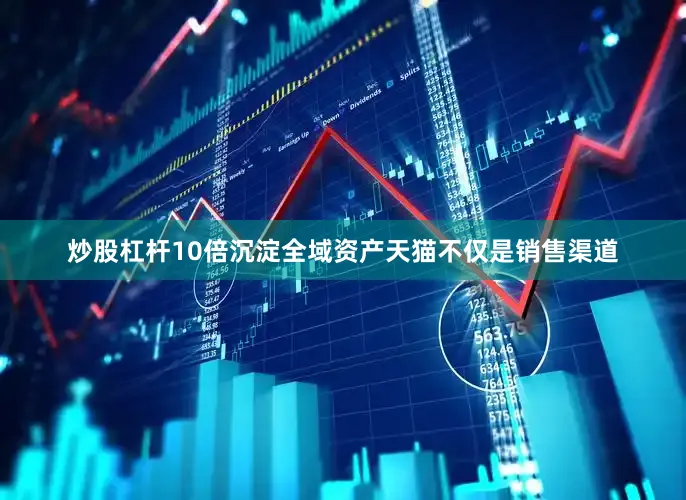 炒股杠杆10倍沉淀全域资产天猫不仅是销售渠道
