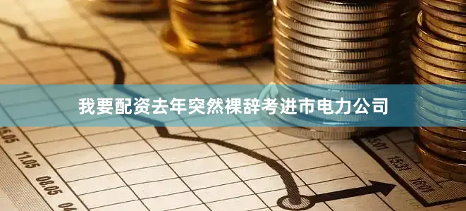 我要配资去年突然裸辞考进市电力公司