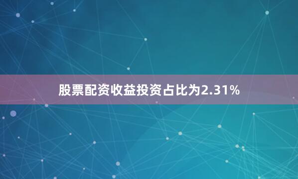 股票配资收益投资占比为2.31%